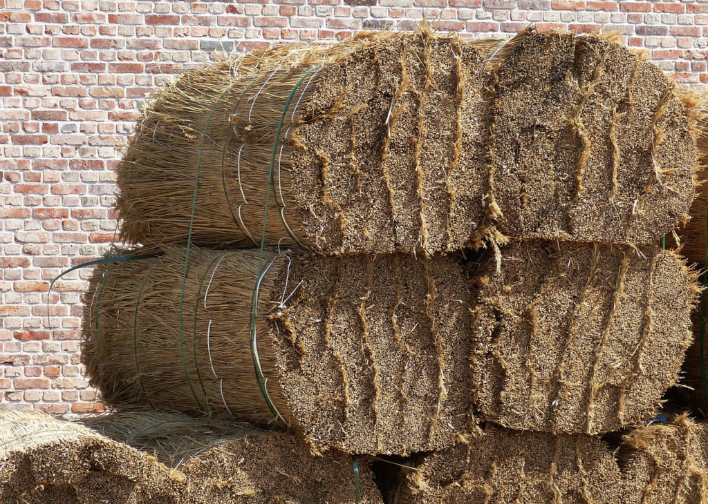 Reet für die Dachbedeckung